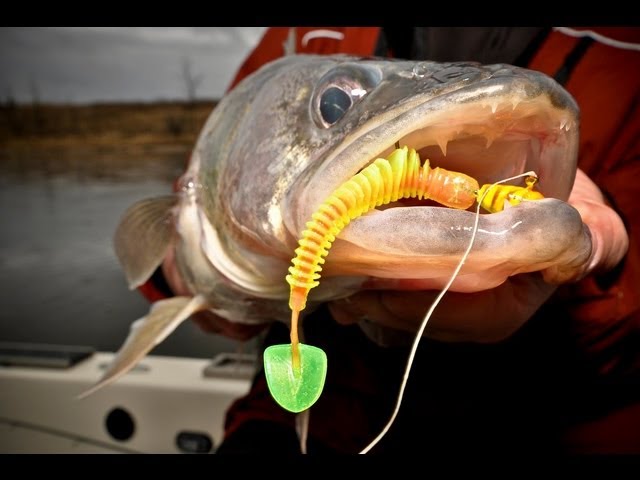 Catch Giant Rainy River Walleye on Plastics -- In-Depth Outdoors