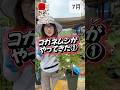 コガネムシがやってきた① #相原バラ園　#バラ栽培