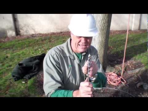 How to Cable a Tree