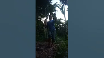 Tig Tola Tola Song Dance Unfrezzmyaccount 
