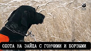 Охота на зайца с гончими и борзыми // Спутники охотника // Серия 4