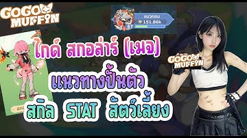 Go Go Muffin : ไกด์ สกอล่าร์ เมจ แนวทางปั้น สกิล stat สัตว์เลี้ยง