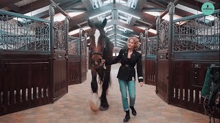 Приехали! В конном клубе Лафарейдо 🐴