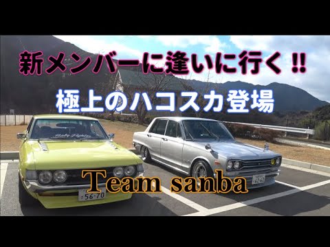 ⋆˖♔マリー♔˖⋆　ハコスカ Nice mix Nissan Skyline Hakosuka Datsun 240z Lamborghini