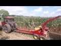 Klein farms chopping hay and corn