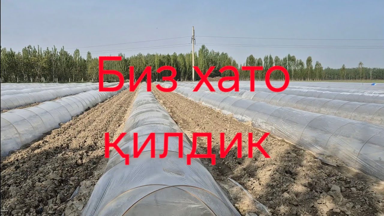 Биз хато қилдик #bobodexqonlar