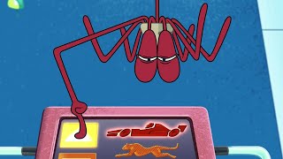 Zig & Sharko | Spider Bernie (S03E43) BEST CARTOON COLLECTION | New Episodes in HD by Zig & Sharko 35,673 views 2 days ago 21 minutes