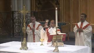 Thursday Mass - July 16, 2026
