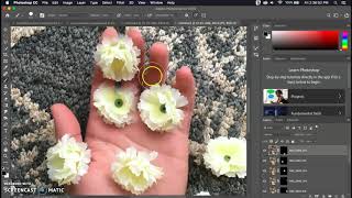 Creating a Multiplicity Collage in Photohsop