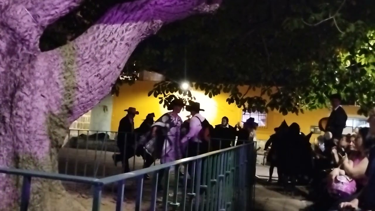 Pinotepa. Tuna de la UABJO 