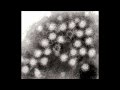 Goteki - Steam Virus
