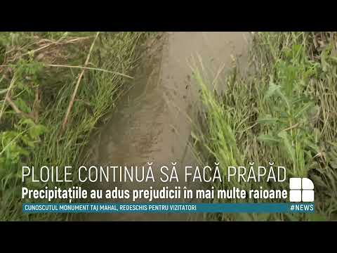 Video: Ehrlichia Spp. Infecție La Câini Din Mediul Rural Din Sate Indigene îndepărtate Din Nord-estul Braziliei
