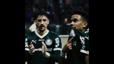 hoje tem Palmeiras  vai amassar o Flamengo no Allianz parque 🟩🥶☠️🤫@Palmeiras