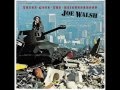 Joe Walsh  -  Things