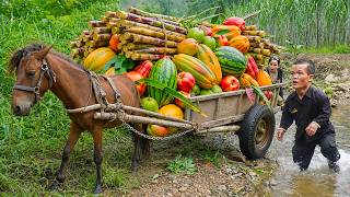 GIANT PYTHON Attacks Dwarf Family's Horse | Dwarf Family Harvesting SUGARCANE Deep in the Wild