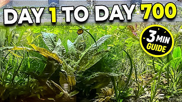 NO CO2, NO Filter, NO Water Change? Here’s What HAPPENS!