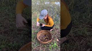 Amazing Eel Trapping Technique With Survival Skills