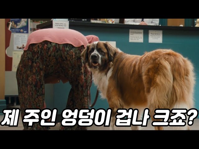 모든 동물들과 대화할 수 있는 신기한 능력을 가진 의사 ? #영화리뷰 #결말포함 ?