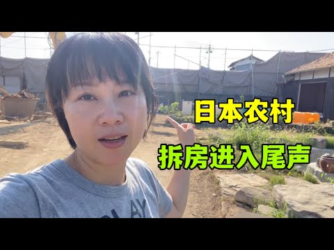 日本農村花3週拆房，合計2500萬日元買了塊地，大家看看划算嗎？