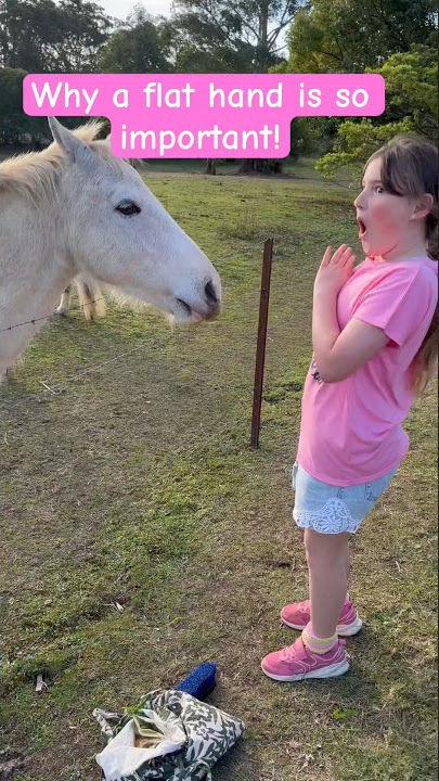 Horse nearly bit me! 😮🐴 #cheekyhorse #pony #horses #horsebite #aliyah #shorts