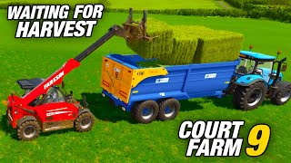 HARVEST DESPERATION | Court Farm | Farming Simulator 22 - Ep9