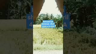 Download Lagu dahsyatnya sholawat Jibril 4444 x \u0026 LOA #viral #shortvideo #shortvideo #shorts #short #shortfeed MP3