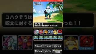 Dqmsl攻略 楽園チャレンジ ミッション 黒竜丸を撃破してクリア を達成しました Shohei Info