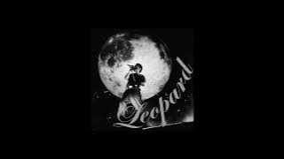 cant feel my face x les - the weeknd, childish gambino [leopardkk]