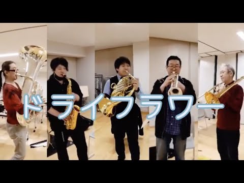 【ちょこっと】ドライフラワー【セッション】