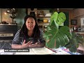 Nature Observations: Engaging With Plants Through Detailed Exploration