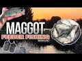 Maggot Feeder Fishing for silvers - Rudd - Perch - Roach - Easy Fishing - Feeder Fishing UK