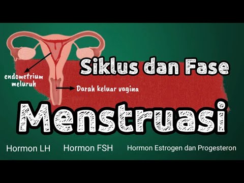 Video: Selama fase menstruasi, lapisan endometrium mana yang terlepas?