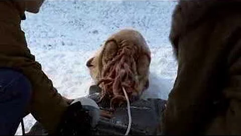 Doctor Who: Planet of the Ood- The Circle Must Be Broken