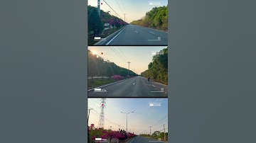 Rừng sác -Cần giờ .Con đường hoa giấy xuyên rừng đẹp nhất  Hồ Chí Minh  / Huệ lang thang