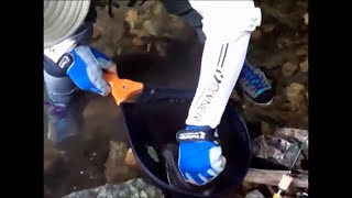 某県某川の70年ニジマス