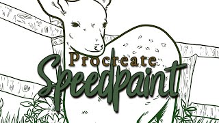 Deer Coloring Page -  Timelapse in Procreate