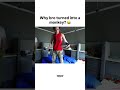 Follow fishtank.live on IG &amp; TT on X &amp; YT  #funn #funny #fyp #prank #fishtanklive