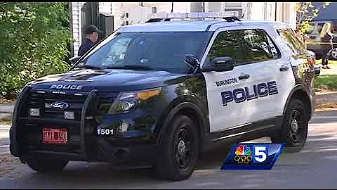 Police: man attacks wife, mother-in-law with meat cleaver