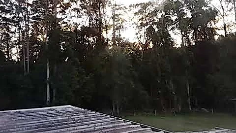 what beautiful morning outside