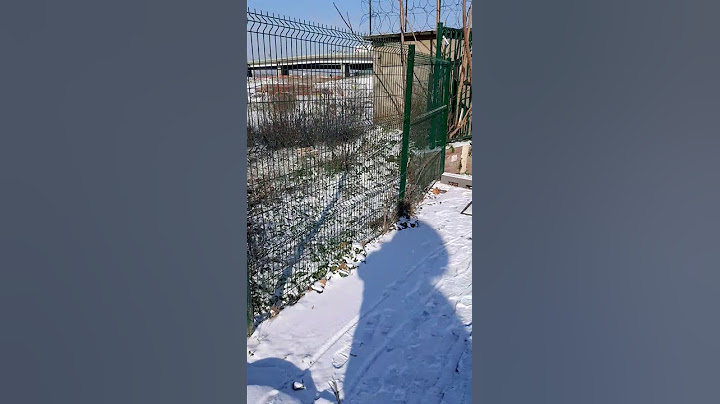 باريس اليوم مباشر