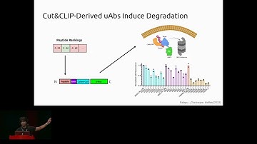 Structure-Independent Peptide Binder Design via... - Pranam Chatterjee - MLCSB - ISMB/ECCB 2023