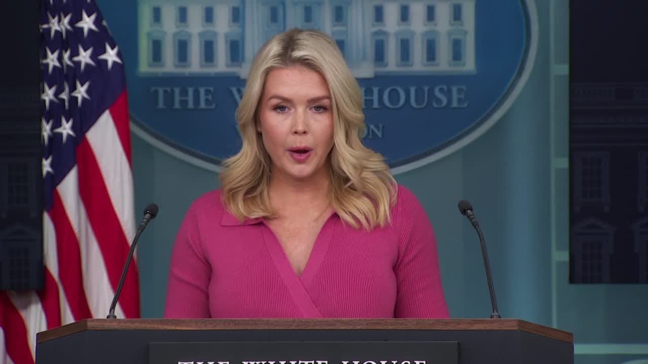 White House downplays Trump's suggestions federal government should take over elections