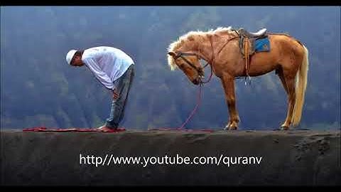 ماهر المعيقلي / سورة يس / قرآءة تشرح الصدر ❤️❤️.