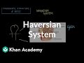 Bone Structure Unveiled Haversian System and Its Components