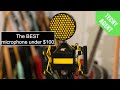 Neat Worker Bee Microphone - Review