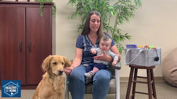 Introducing your baby to the family dog