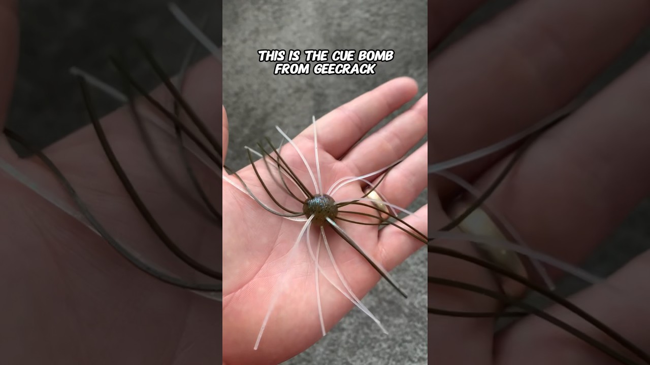 Как бы вы оснастили Cue Bomb от Geecrack? Вы бы пошли с ним на рыбалку? 