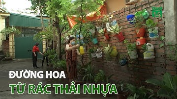 Đường hoa từ rác thải nhựa | VTC14