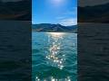 Paddle boarding #paddleboarding #paddleboardadventure #adventure #viral #pov #subscribe #nature