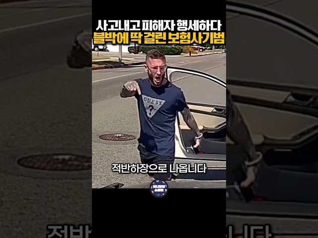 사고내고 피해자 행세하다 블박에 딱 걸린 보험사기범 #블랙박스